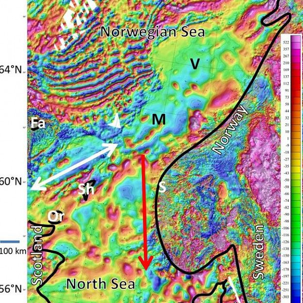 29头抹香鲸搁浅海滩 科学家找出原因（组图） - 5