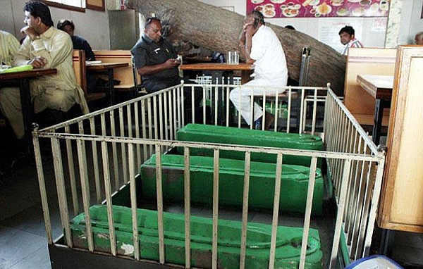 世界上最恐怖的餐馆，四处摆满棺材，客人与尸体共餐