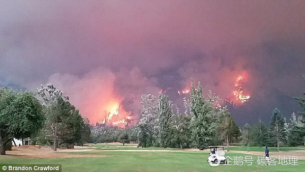 森林大火在身后肆虐，他们淡定打高尔夫（组图） - 1