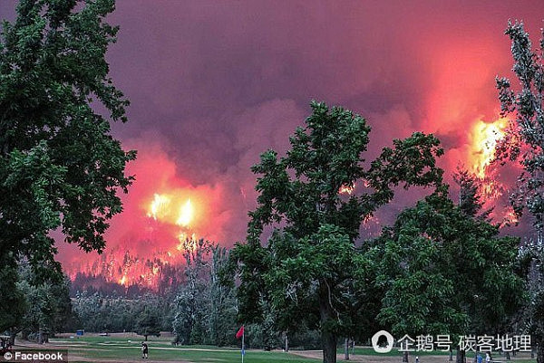 森林大火在身后肆虐，他们淡定打高尔夫（组图） - 2