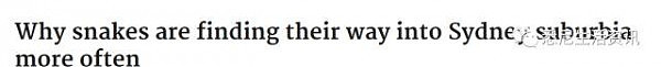 疯了！毒蛇大举入侵悉尼城区 数量狂涨7倍！咬一口可能就致命 - 3