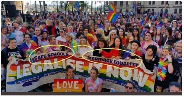 澳华人群体发声反对同姻合法化：保护家庭孩子，支持传统婚姻 - 7