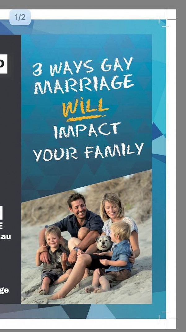 澳华人群体发声反对同姻合法化：保护家庭孩子，支持传统婚姻 - 8
