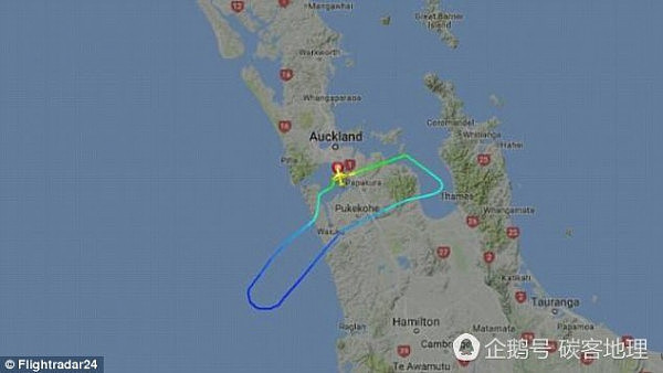 新西兰航空客机飞行途中突遭雷劈 乘客惊声尖叫紧急返航（组图）　 - 2