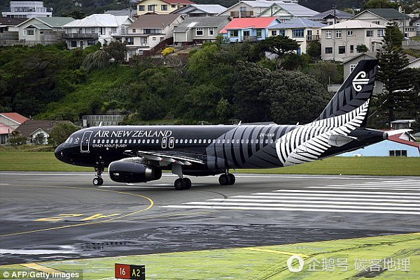 新西兰航空客机飞行途中突遭雷劈 乘客惊声尖叫紧急返航（组图）　 - 3