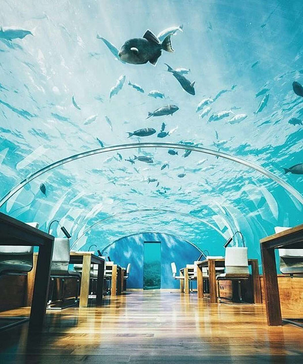 马尔代夫首家海底餐厅不便宜 能容纳14人就餐（组图） - 1