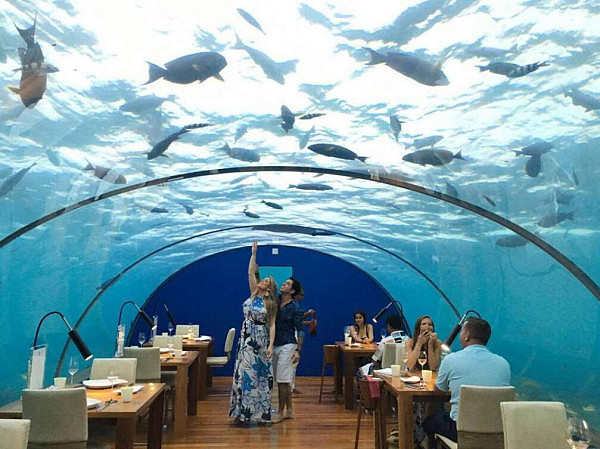马尔代夫首家海底餐厅不便宜 能容纳14人就餐（组图） - 5