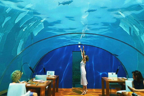 马尔代夫首家海底餐厅不便宜 能容纳14人就餐（组图） - 6