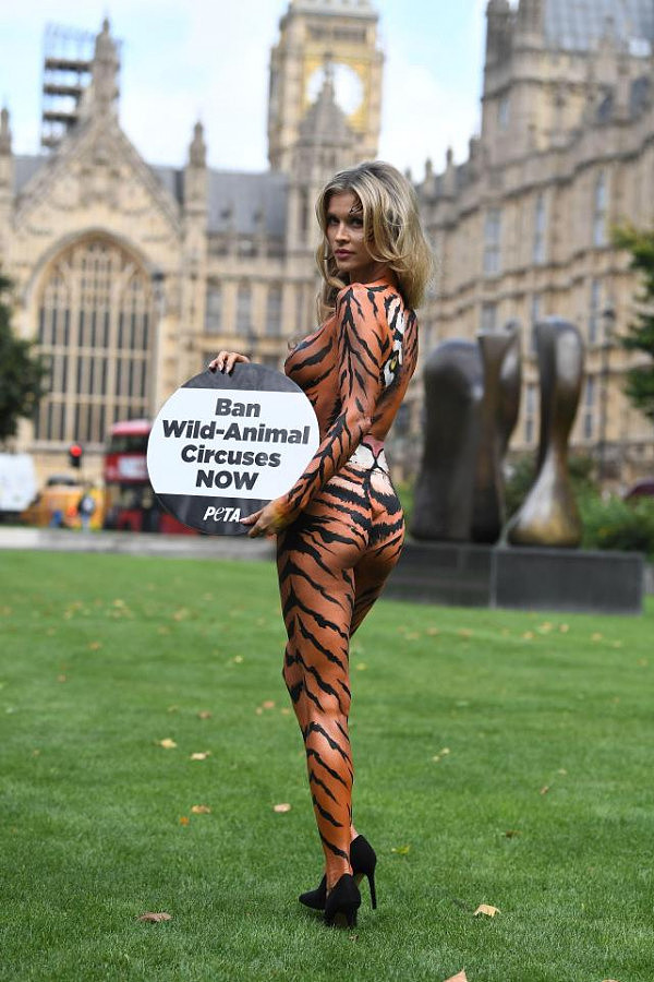 性感名模扮成老虎，伦敦街头呼吁出台马戏团禁令（组图） - 4