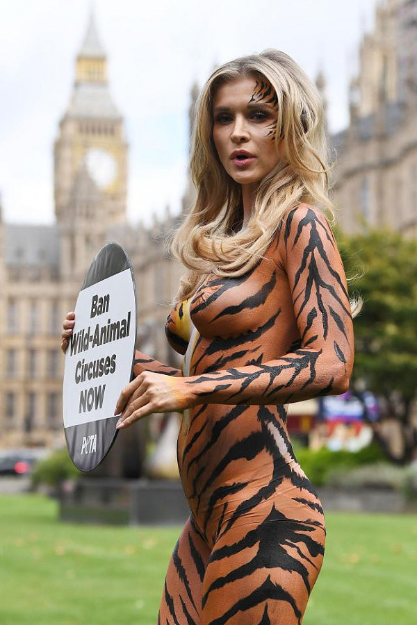 性感名模扮成老虎，伦敦街头呼吁出台马戏团禁令（组图） - 5