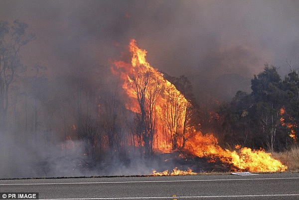 A fire broke out near Cessnock in the NSW Hunter Valley on Wednesday as temperatures across the state soared