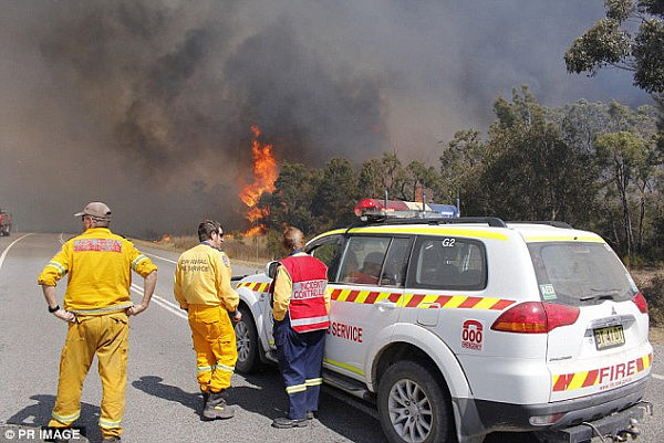 The thick, dark smoke spread through the air as the fire flicked through the dry bush