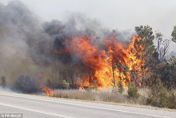The out of control bushfire is pictured here in full force 