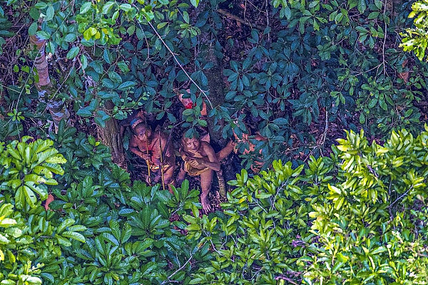 10名亚马逊部落人员外出捡鸡蛋 被一群淘金者杀害（组图） - 4
