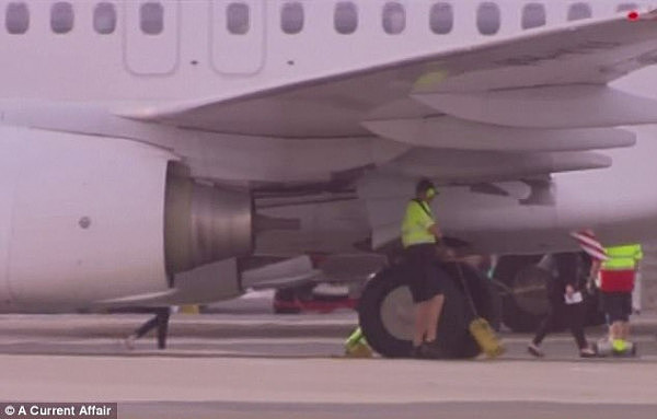 A Qantas pilot has warned of dangerous airport security loopholes leaving us vulnerable to terrorist attacks (pictured are workers on the tarmac at an Australian airport)