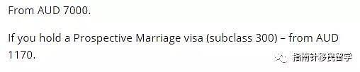 澳洲配偶签证全球最贵！留学生夫妻团聚竟要3年 结婚了也是单身狗 - 7