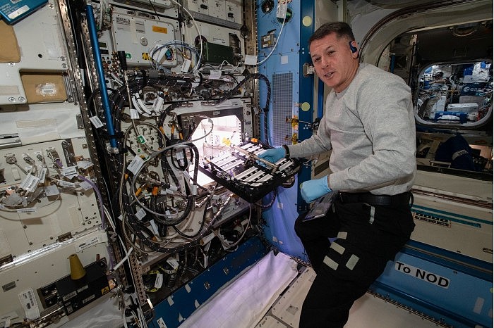 NASA在国际空间站上种辣椒 数月后可收获品尝 - 1