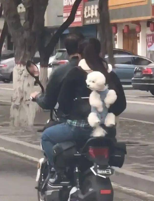 主人骑摩托车带狗狗去兜风，狗：快放我下来，我害怕啊 - 1