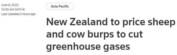为减少温室气体排放 新西兰将对牛羊打嗝定价 - 1