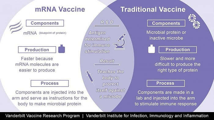 科学家解释免疫机理：辉瑞与莫德纳mRNA疫苗不会影响人类遗传信息 - 1