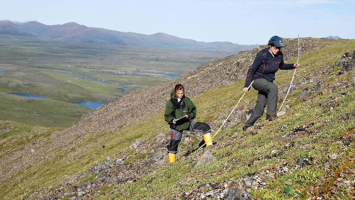 研究显示西伯利亚苔原可能会在本世纪中叶消失 - 6