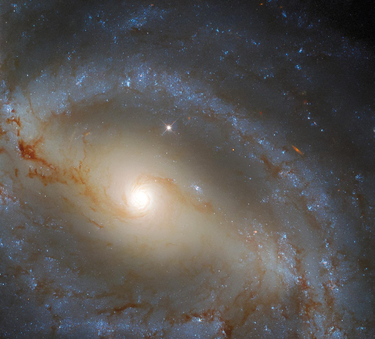 哈勃太空望远镜发现一个蛇形的螺旋星系：NGC 5921 - 1