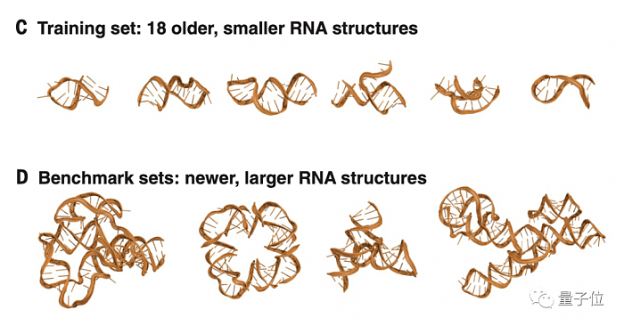 AI预测RNA结构登上Science封面，论文一作已成立药物公司开始招人 - 7