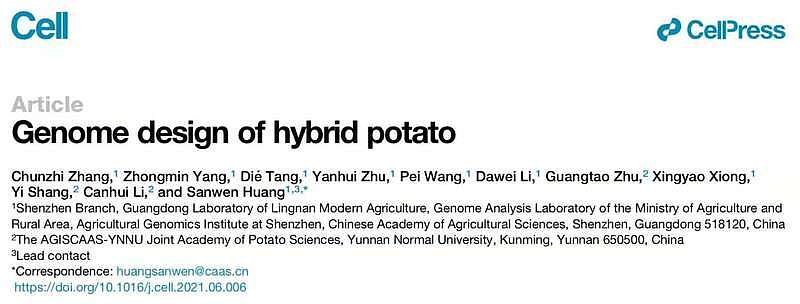 第一代全基因组设计的杂交马铃薯问世 用杂交种子替代薯块繁殖 - 3