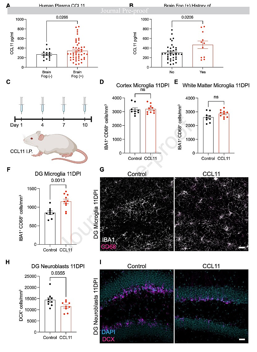 斯坦福、耶鲁研究：新冠感染轻症仍可能导致神经细胞和髓鞘失调 - 6