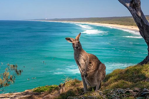 澳大利亚环境优越为何人口少 澳大利亚人口少的原因是什么 - 2