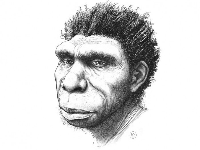 Homo-bodoensis-Artists-Drawing-777x583.jpg