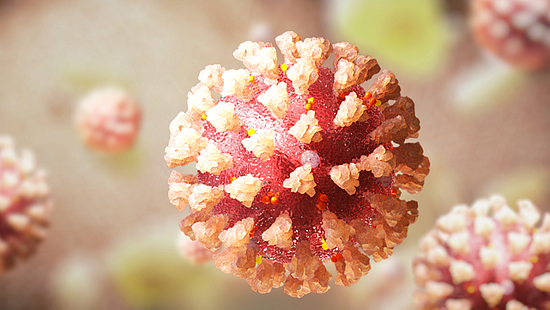 新冠病毒竟会让细胞衰老？研究人员发现治疗新思路 - 2