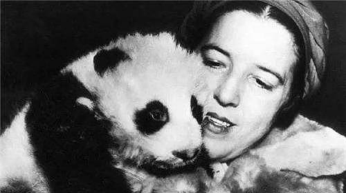 84年前，那个2次将熊猫从中国偷走的美国女人露丝，最后结局凄凉 - 5
