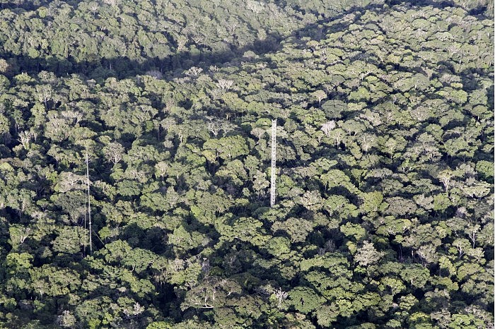亚马逊雨林碳吸收能力到达临界值 产生碳的能力大于吸收能力 - 1