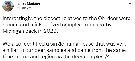 加拿大研究人员发现鹿将新冠病毒传染给人类的可能案例 - 4