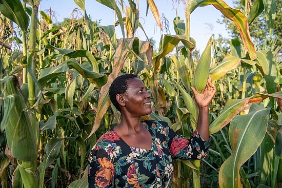 ■ 气候变化正以不规则降雨和干旱的形式对小农和非洲农民产生重大影响 / 盖茨基金会