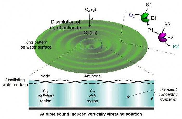 Audible-Sound-Induced-Generation-of-Transient-Domains.jpg