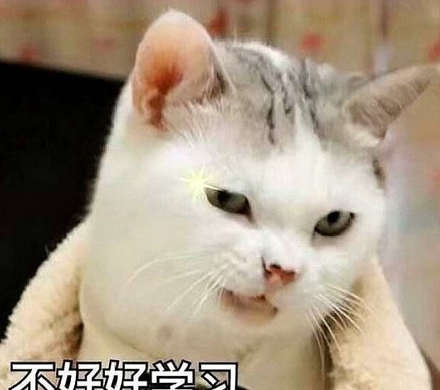 身边有对猫过敏却想养猫的朋友，这篇文章推给他，他会感谢你 - 1