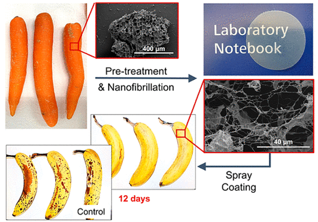 大规模取代塑料的希望，胡萝卜“摇身一变”，香蕉保质期延长7天 - 4