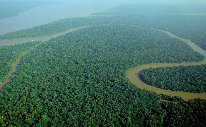 800px-Aerial_view_of_the_Amazon_Rainforest.jpg