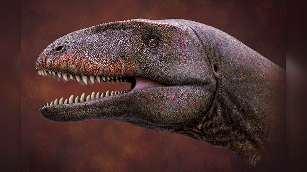 2021年的十个恐龙神奇大发现：首个保存完好的恐龙“屁眼” - 8