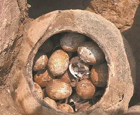 考古困境：古墓中的鸡蛋与文物保护的挑战 - 1