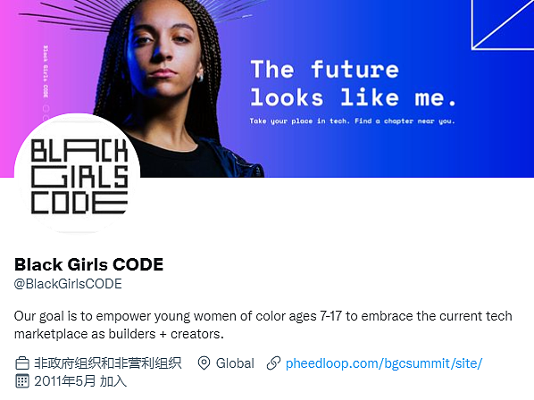 因涉嫌在被罢免后“劫持”网站 Black Girls Code创始人遭到反诉 - 1