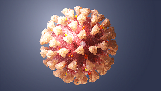 研究：COVID病毒进入“地下”并在细胞之间传播 - 1