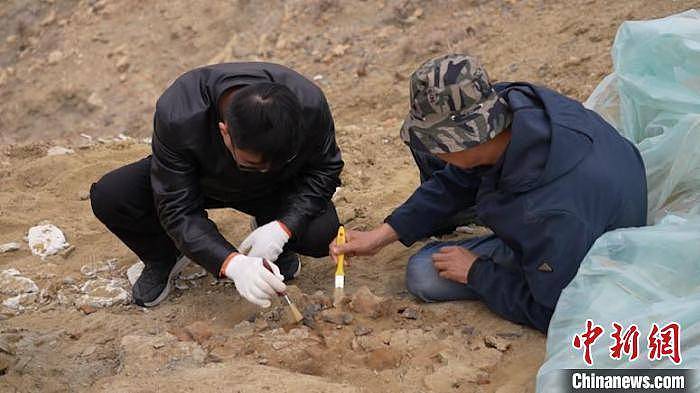 内蒙古巴彦淖尔发现一处恐龙化石 - 2