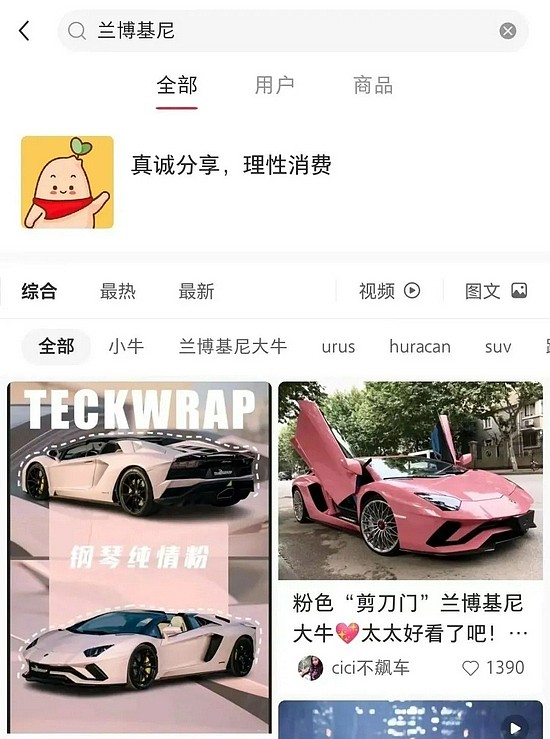 当小红书用户搜索“法拉利”“布加迪”“豪宅”等关键词，页面会显示“真诚分享，理性消费”的提示。