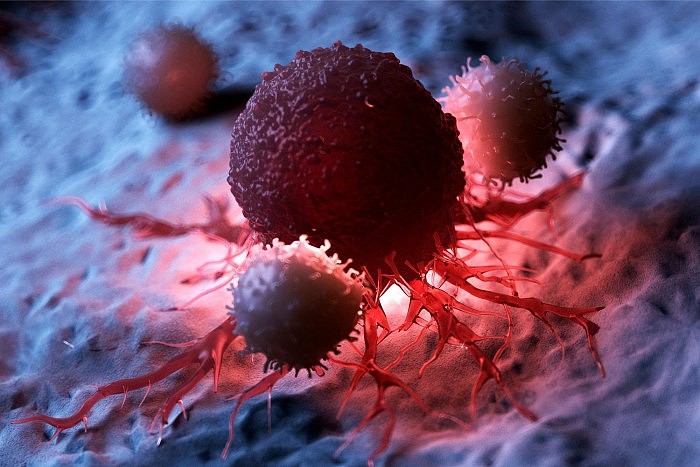 White-Blood-Cells-Attacking-Cancer.jpg