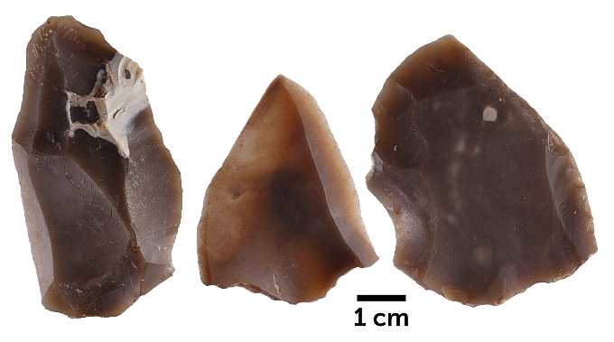 以色列发现未知人类化石：源自10万多年前的神秘种群 - 4