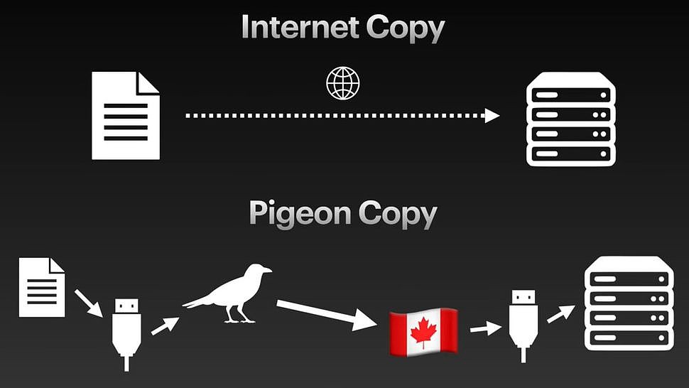 鸽子传送数据竟然比互联网更快？博主用实验揭秘 - 2