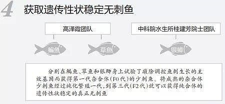 华中农大团队找到控制鱼刺生长的基因 - 5